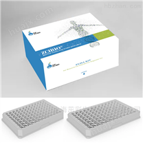 大鼠α血红蛋白稳定蛋白(αHSP)ELISA试剂盒