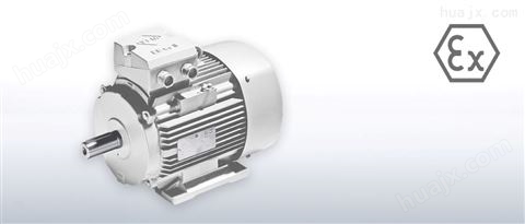 德进口VEM 低电压 变压器电机供应