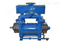 恒压供水设备-2BE1真空泵-水环真空泵-佛山水泵-真空泵