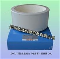 ZNCL-TS 20L 型数显磁力（电热套）搅拌器