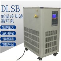 实验室制冷设备 巩义科瑞DLSB5L/-20℃冷冻液循环泵 