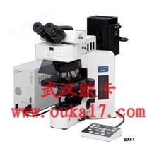 奥林巴斯显微镜BX51/61研究级显微镜