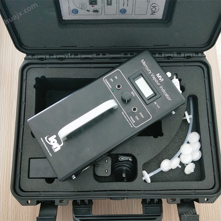 英国离子MVI汞蒸气检测仪 MVI-DL数据型测汞仪 便携式测汞仪 便携式汞蒸气检测仪