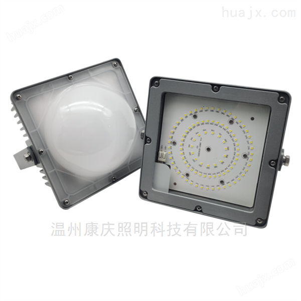 LED应急低顶灯NFE9121B-KT2 壁灯