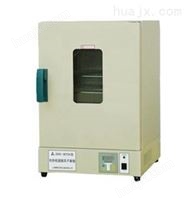 台式电热恒温鼓风干燥箱-DHG-9123A