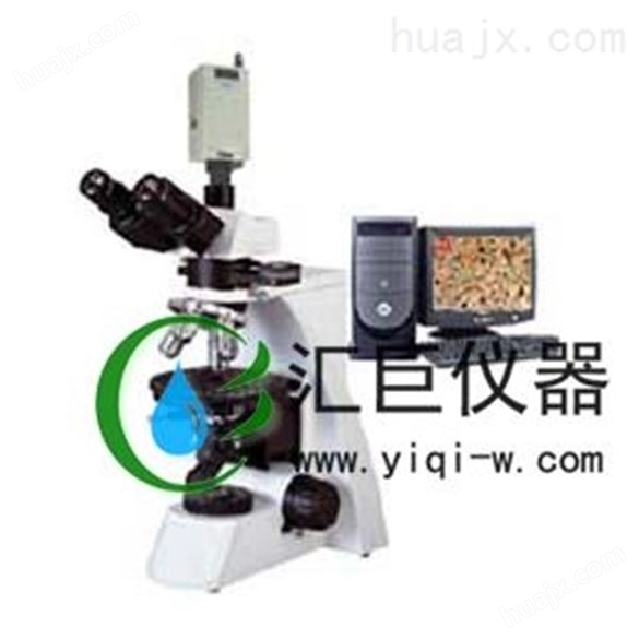 无穷远偏光显微镜XP-550C