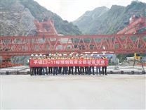 西藏那曲40吨轨道式龙门吊厂家诚信经营