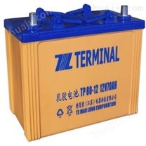 TERMINAL蓄电池（实业）有限公司