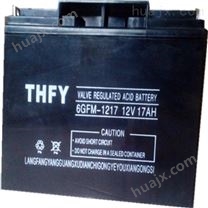 THFY蓄电池（半导体）科技有限公司