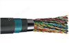 HYA53系列通信电缆